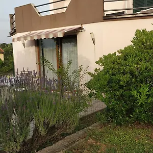 apartment-lavinia.hotelinzadar.com/